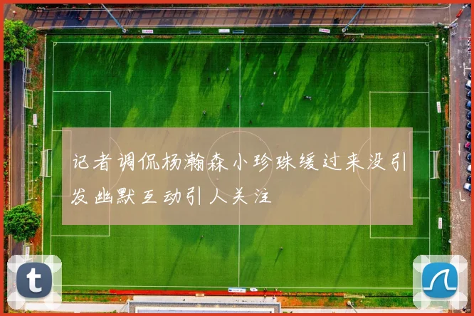 记者调侃杨瀚森小珍珠缓过来没引发幽默互动引人关注
