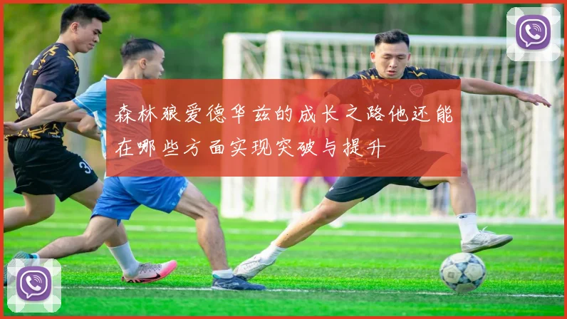 森林狼爱德华兹的成长之路他还能在哪些方面实现突破与提升