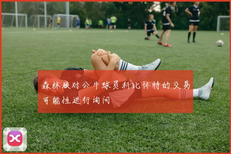 森林狼对公牛球员科比怀特的交易可能性进行询问
