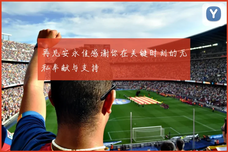 再见安永佳感谢你在关键时刻的无私奉献与支持