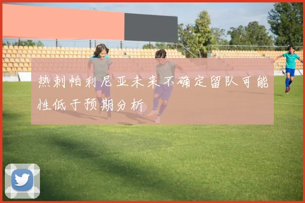 热刺帕利尼亚未来不确定留队可能性低于预期分析