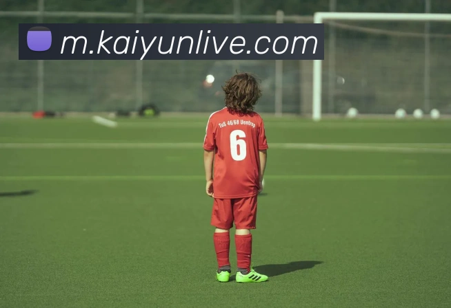 开云体育发展历程